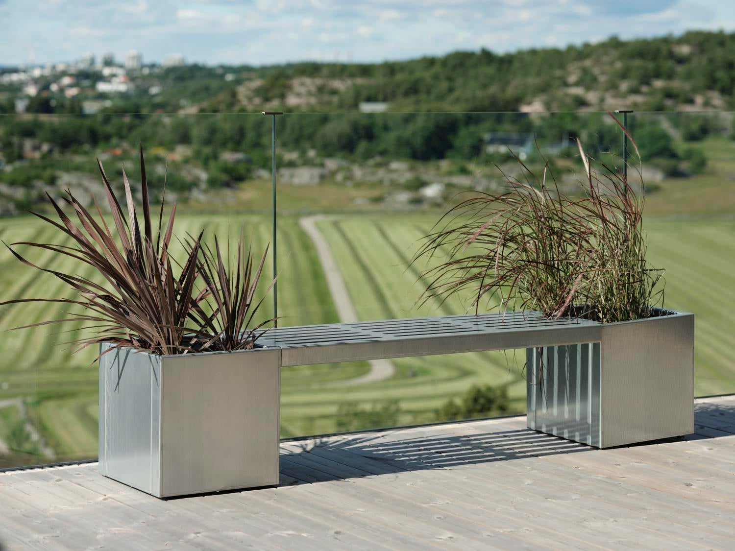 Timjan kruka Magnelis