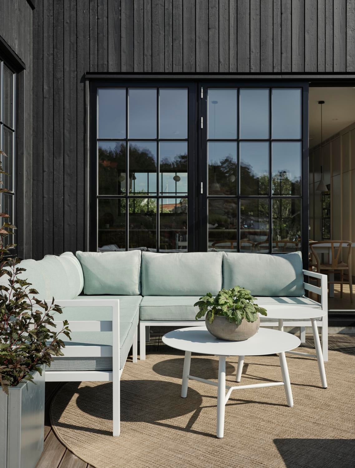 Timjan kruka Magnelis