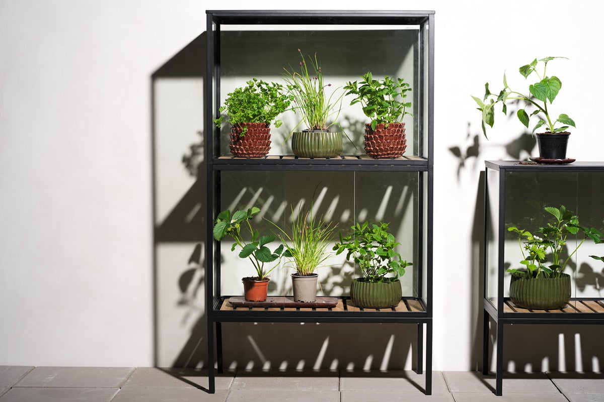 Grower Greens Växtskåp Svart