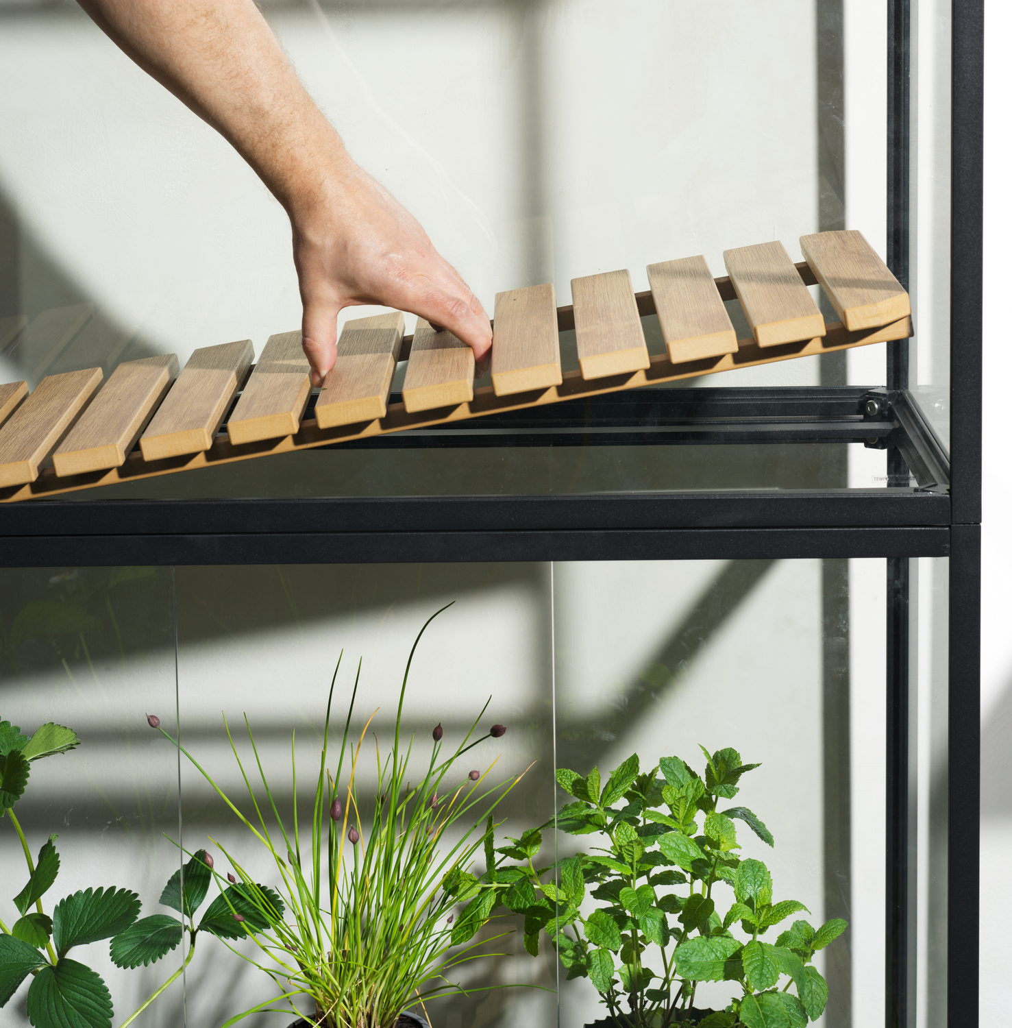 Grower Greens Växtskåp Svart